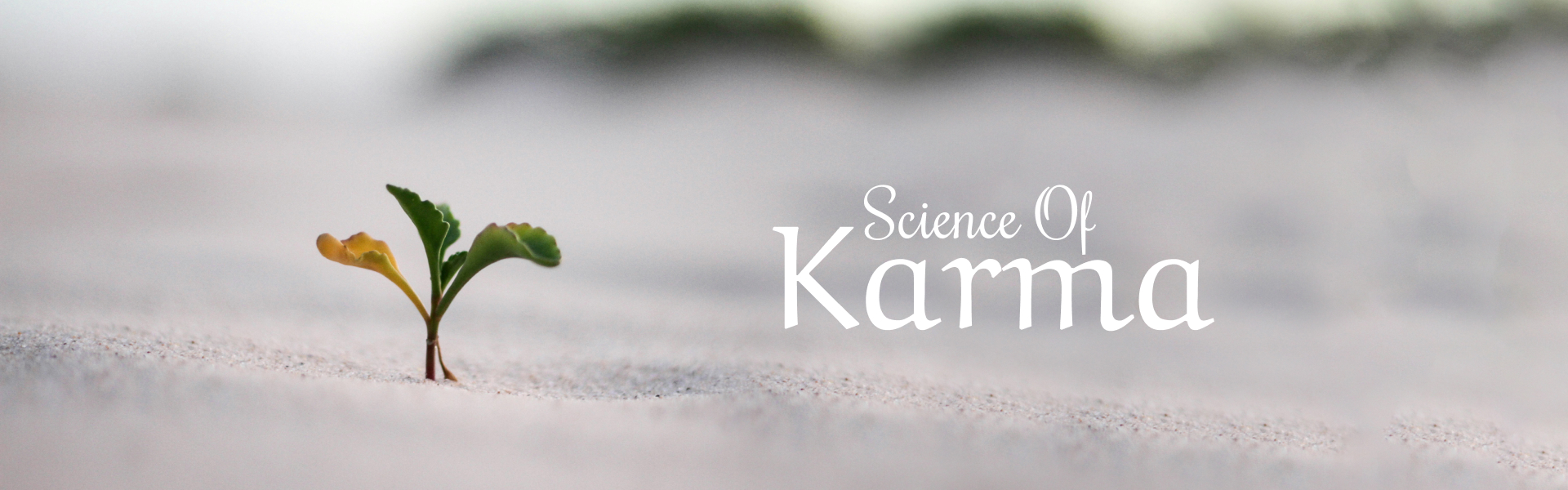 sci-karma-banner.jpg