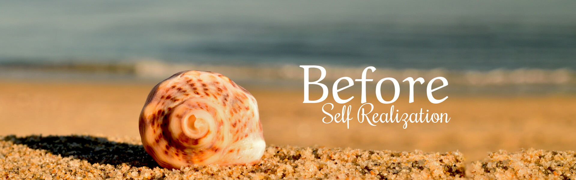 before-self-realization-banner.jpg